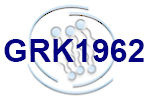 GRK1962